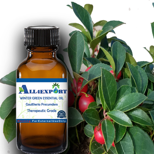 WINTER GREEN ESSENTIAL OIL